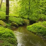 Li School Vakantiehuis Custinne