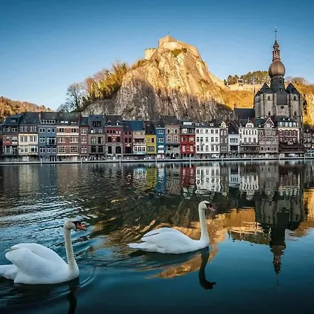 Li School * Custinne