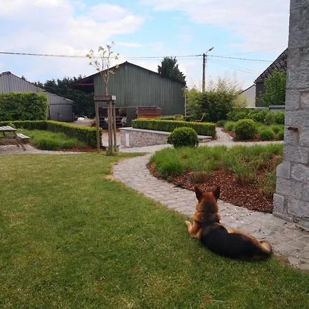 Li School * Custinne