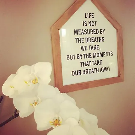 Li School * Custinne