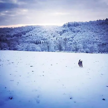 Vakantiehuis Li School