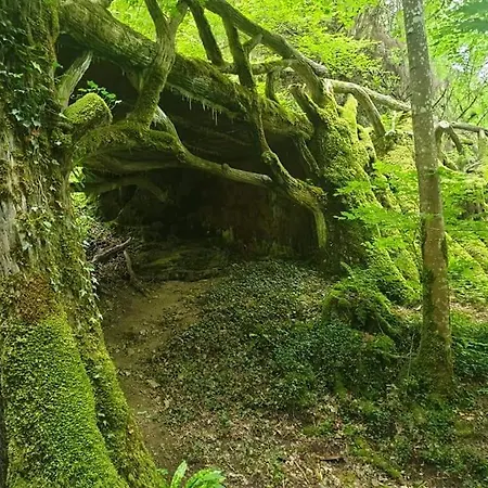 Li School Vakantiehuis Custinne