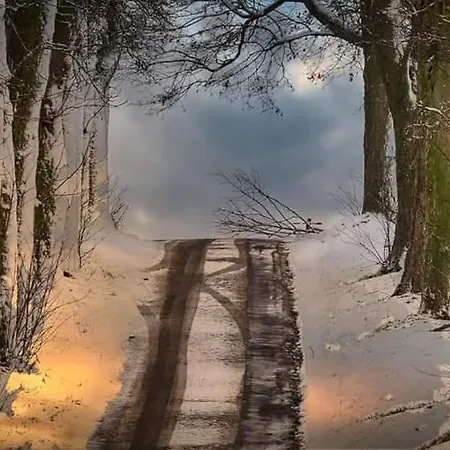 Prázdninový dům Li School