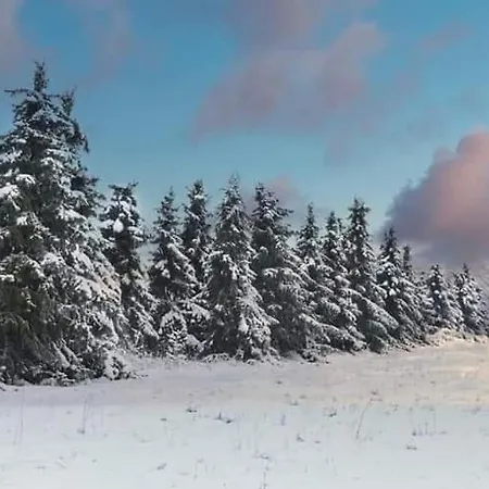 Li School * Custinne