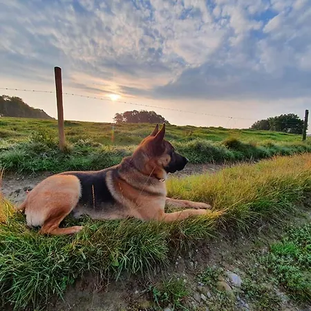 別荘 Li School Custinne