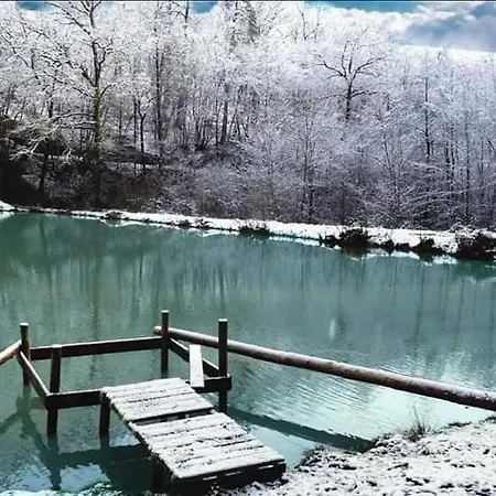 Prázdninový dům Li School Custinne
