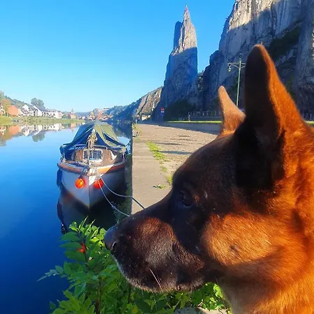 Vakantiehuis Li School Custinne