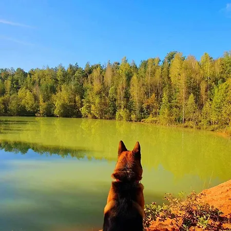 Li School * Custinne