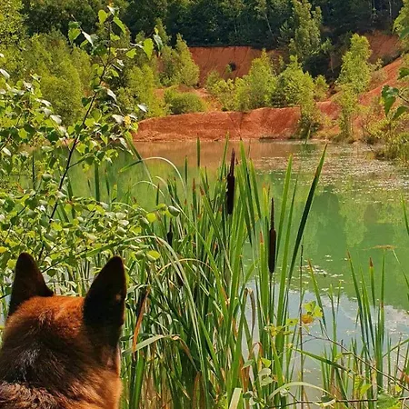 Vakantiehuis Li School