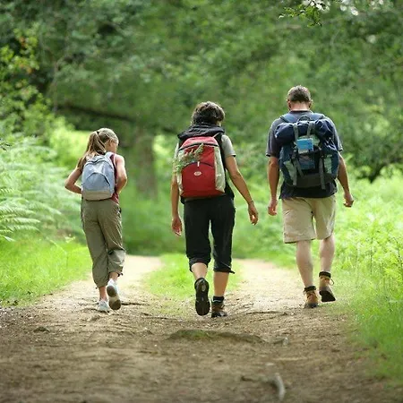 Li School * Custinne