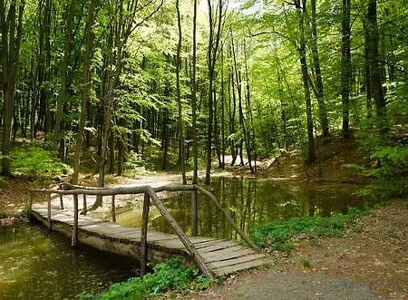 Vakantiehuis Li School *