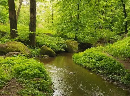 Li School 度假居 Custinne