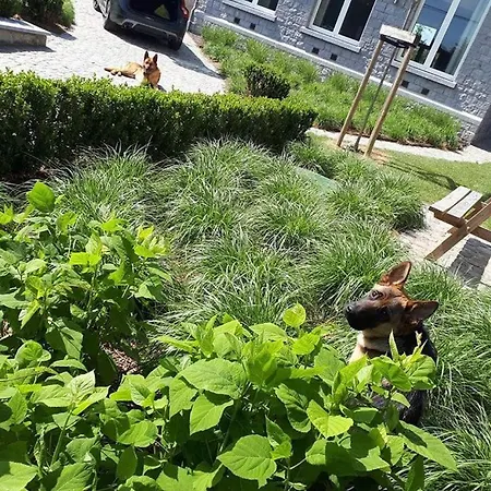 Li School Vakantiehuis Custinne